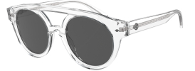 Giorgio Armani AR 8163 Sunglasses