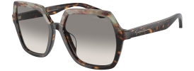 Giorgio Armani AR 8193U Sunglasses