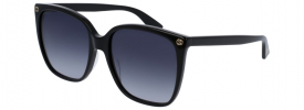 Gucci GG 0022S Sunglasses