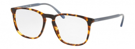 Ralph Lauren Polo PH 2194 Glasses