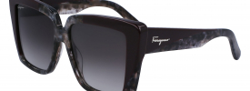 Salvatore Ferragamo SF 1060S Sunglasses