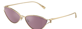 Tiffany & Co TF 3095 Sunglasses